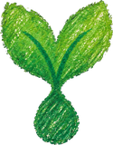 Seed Pray